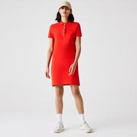 Lacoste Women's Stretch Cotton Piqué Polo DressF8M